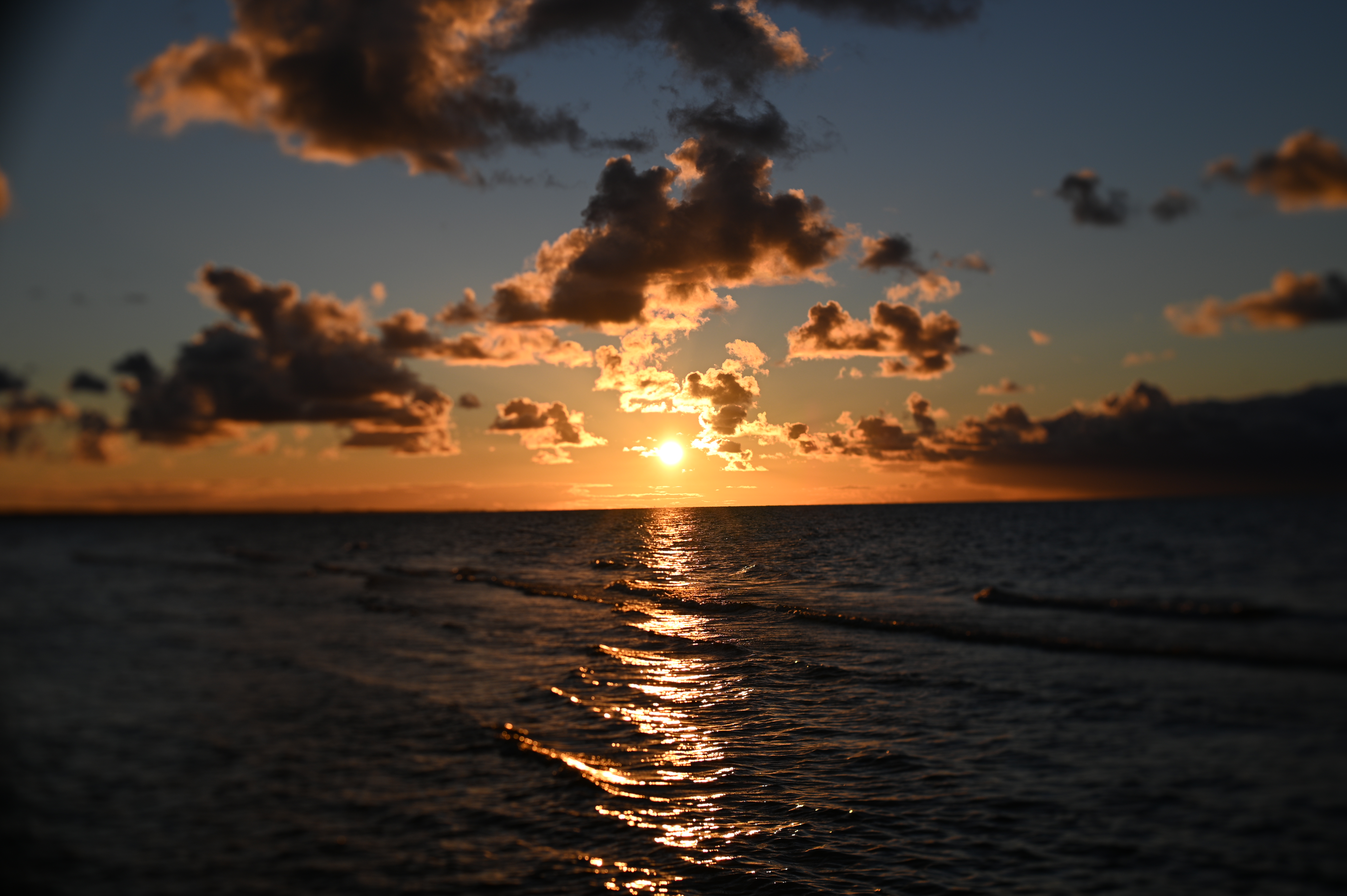 2025/10/18 - walk/DSC_0374.JPG